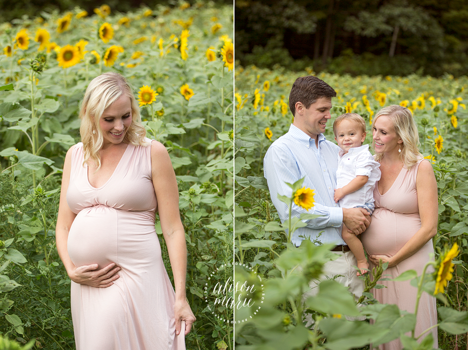 Sunflower field Maternity session